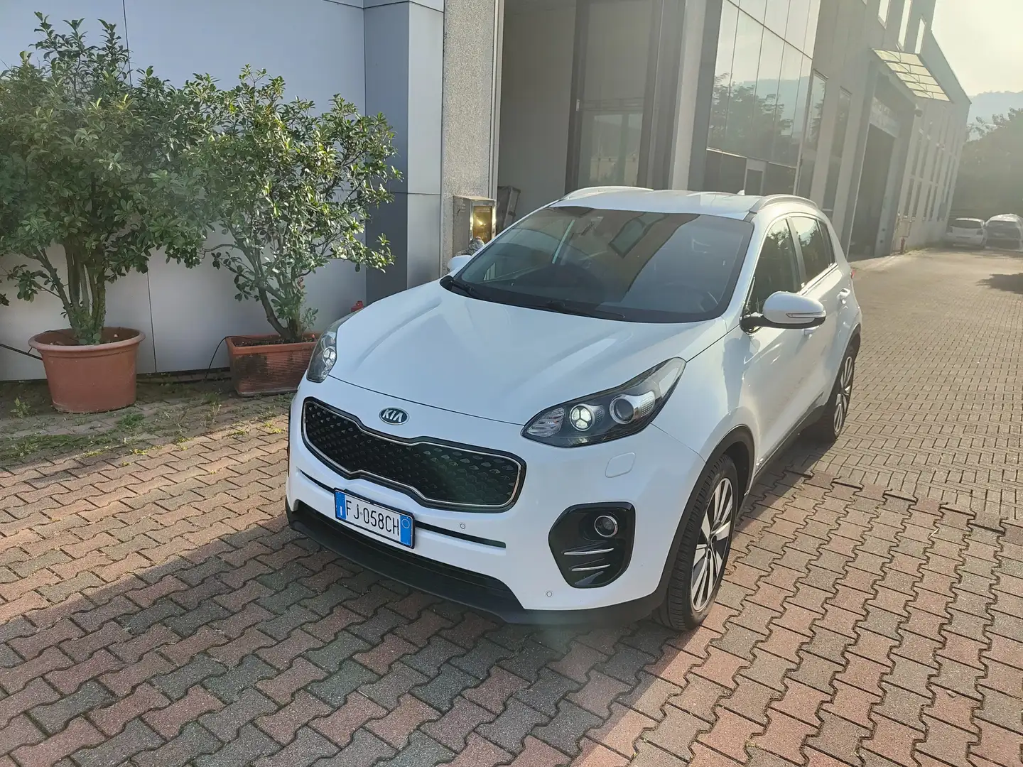Kia Sportage Sportage IV  2.0 crdi Rebel techno Pack awd 136cv Bianco - 2