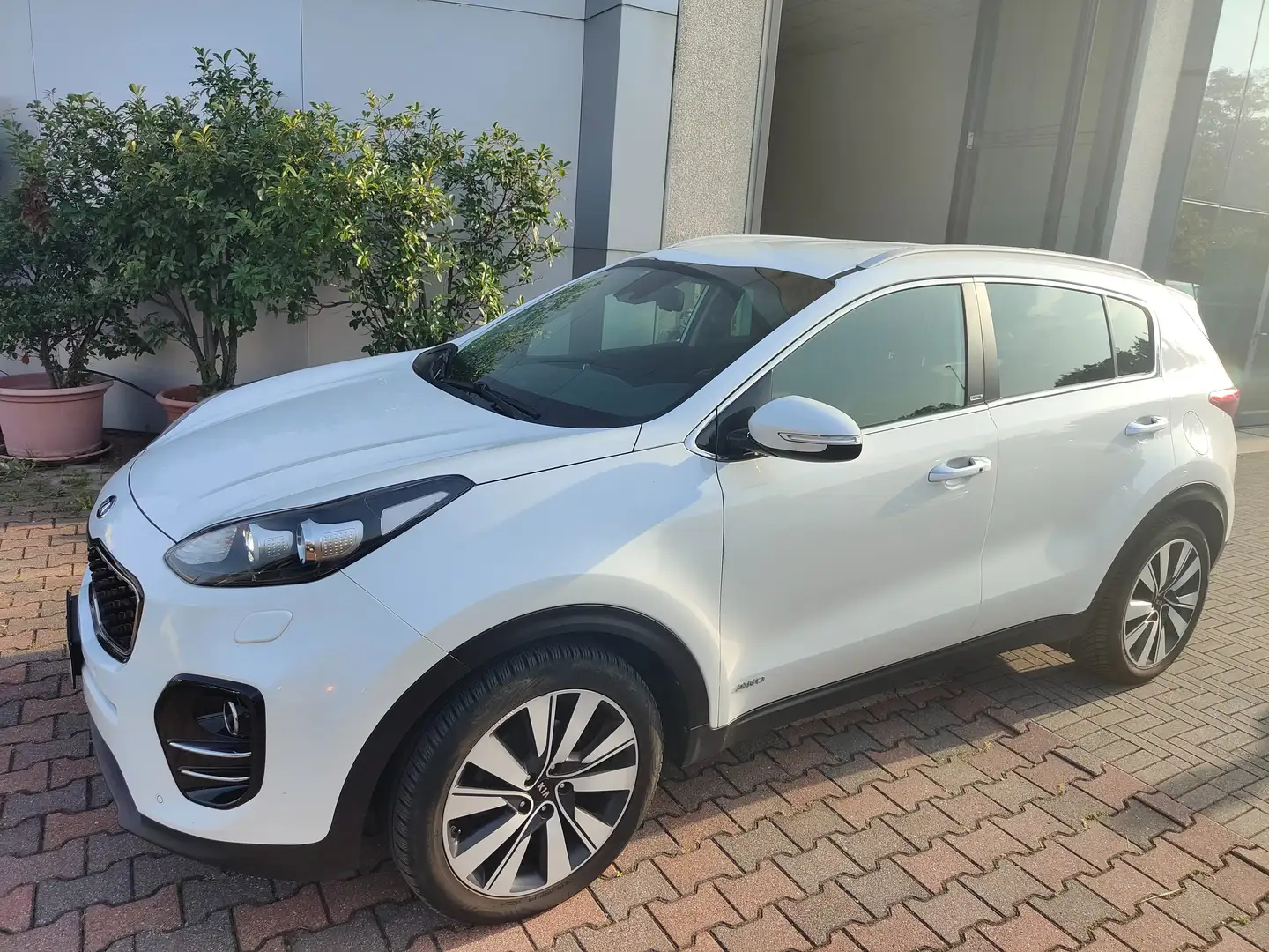 Kia Sportage Sportage IV  2.0 crdi Rebel techno Pack awd 136cv Bianco - 1