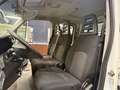 Iveco Massif Daily 35S15 MAXI DoKa Pritsche STHZ AHK 3500 KG Blanco - thumbnail 13
