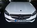 Mercedes-Benz E 200 Cabrio,AHK,Kamera,Tot,Aircap,Leder,8 Fach White - thumbnail 2