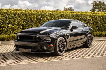 shelby gt500