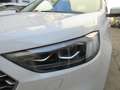 Ford Edge Vignale 4x4 Weiß - thumbnail 20