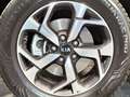 Kia Sportage 1.6 MHEV Drive Plus 85kW (115CV) 4x2 Rojo - thumbnail 6