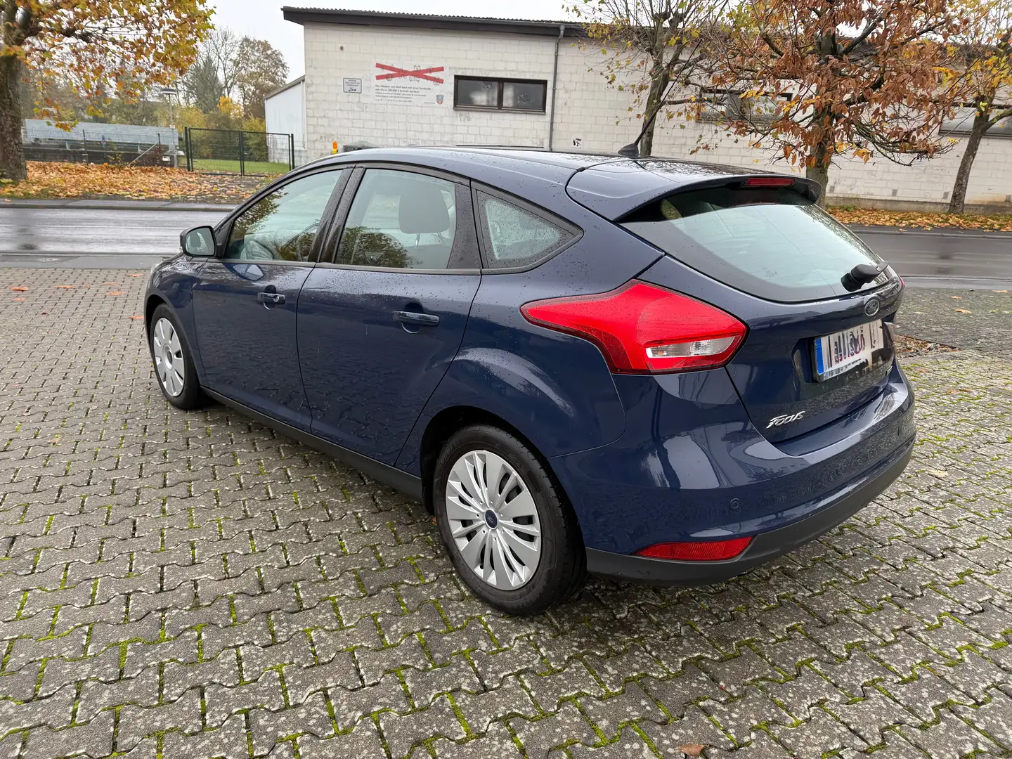 Ford Focus Zahnriemen neu Blau - 2