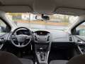 Ford Focus Zahnriemen neu Blau - thumbnail 5