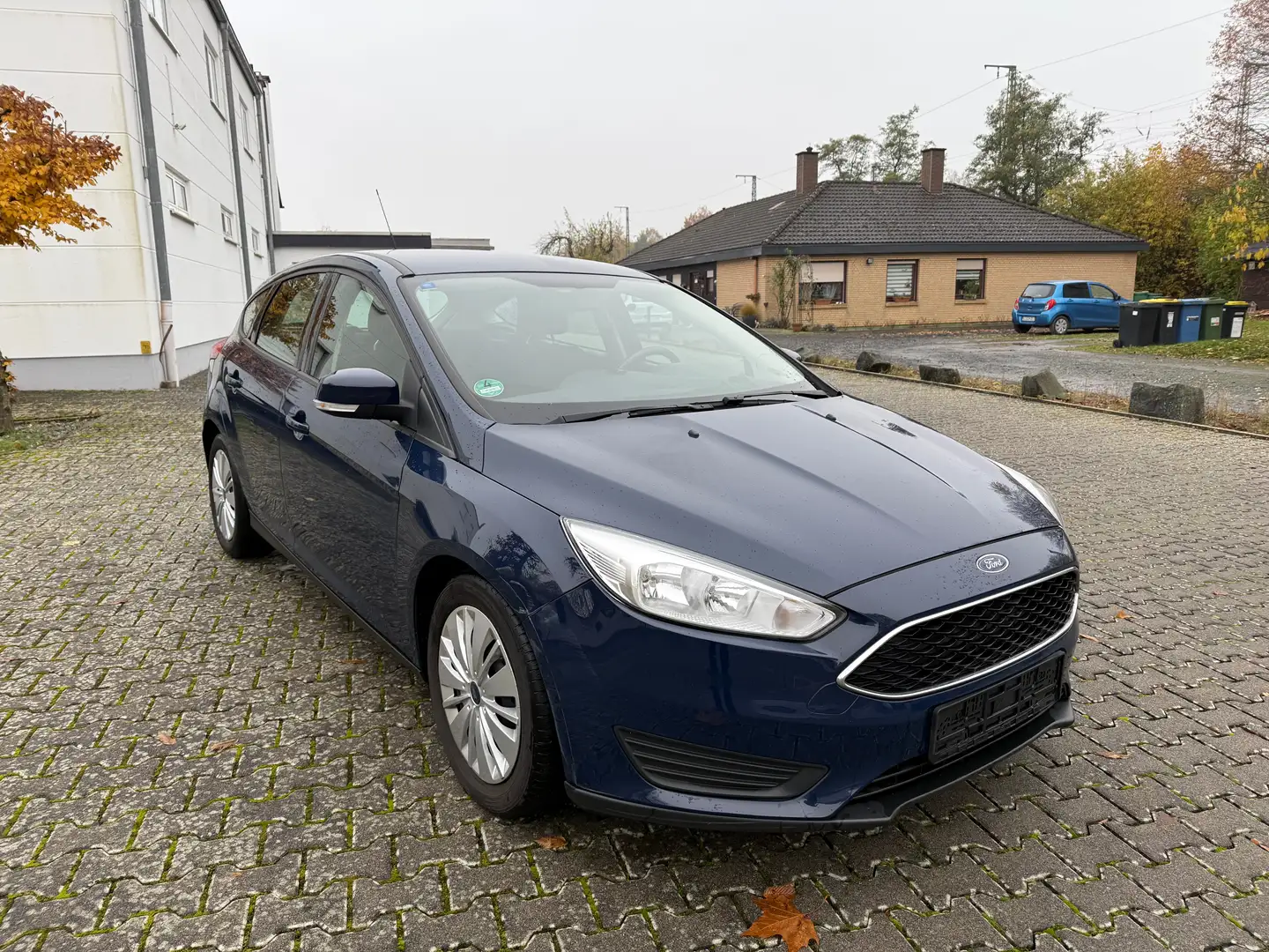 Ford Focus Zahnriemen neu Blau - 1