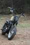 Harley-Davidson Sportster 1200 Custom (Motor aufgearbeitet) Bronze - thumbnail 5