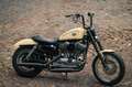 Harley-Davidson Sportster 1200 Custom (Motor aufgearbeitet) Bronze - thumbnail 1