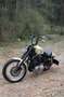 Harley-Davidson Sportster 1200 Custom (Motor aufgearbeitet) Bronze - thumbnail 2