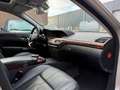 Mercedes-Benz S 350 | AMG | 124 DKM! | NL-Auto Gris - thumbnail 11