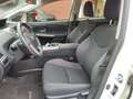 Toyota Prius+ Prius Wagon 1.8 Hybrid ASPIRATION LIMITED 7-PERSOO Blanco - thumbnail 9