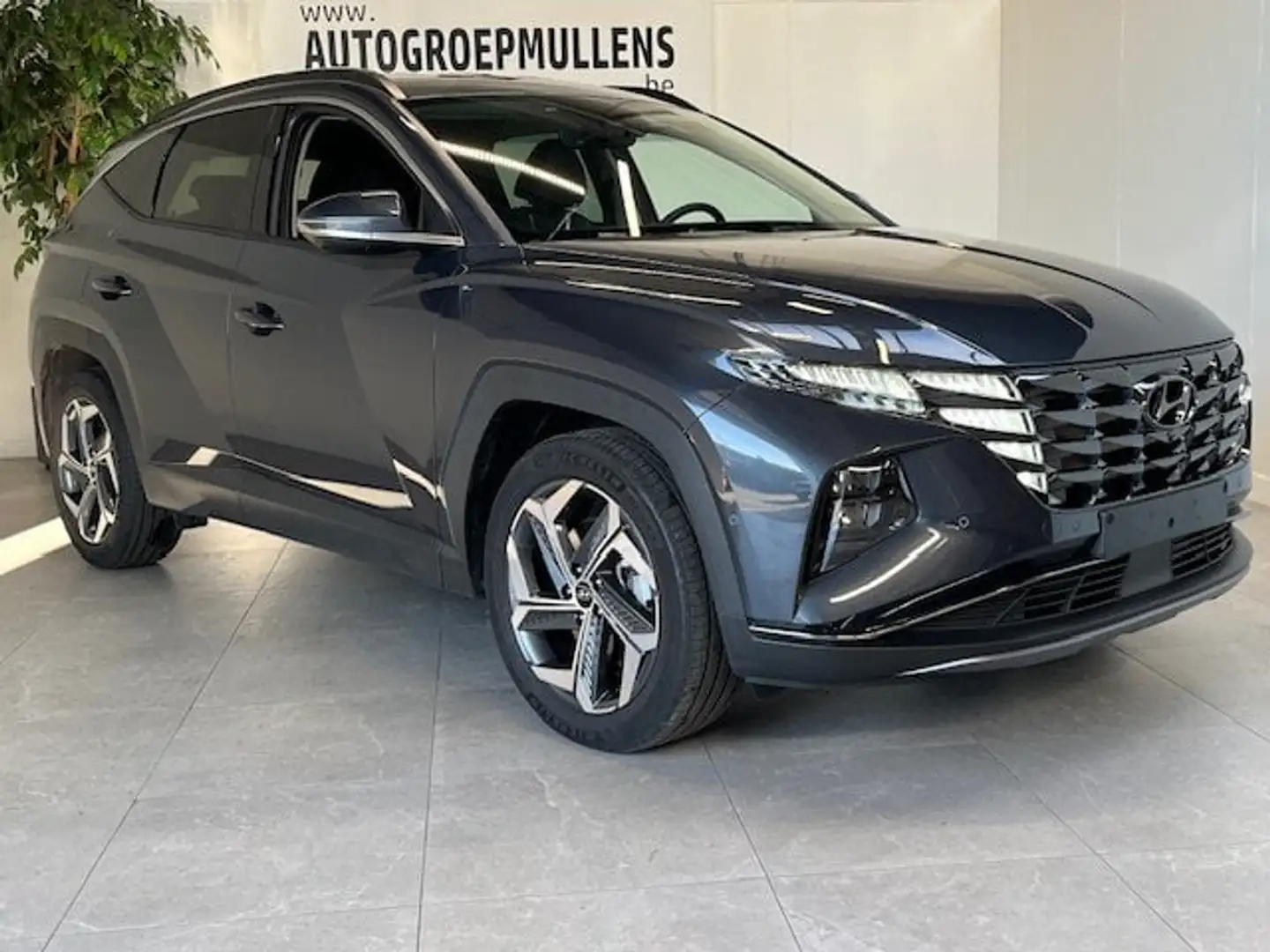 Hyundai TUCSON T-GDi Shine HEV 6AT - 2