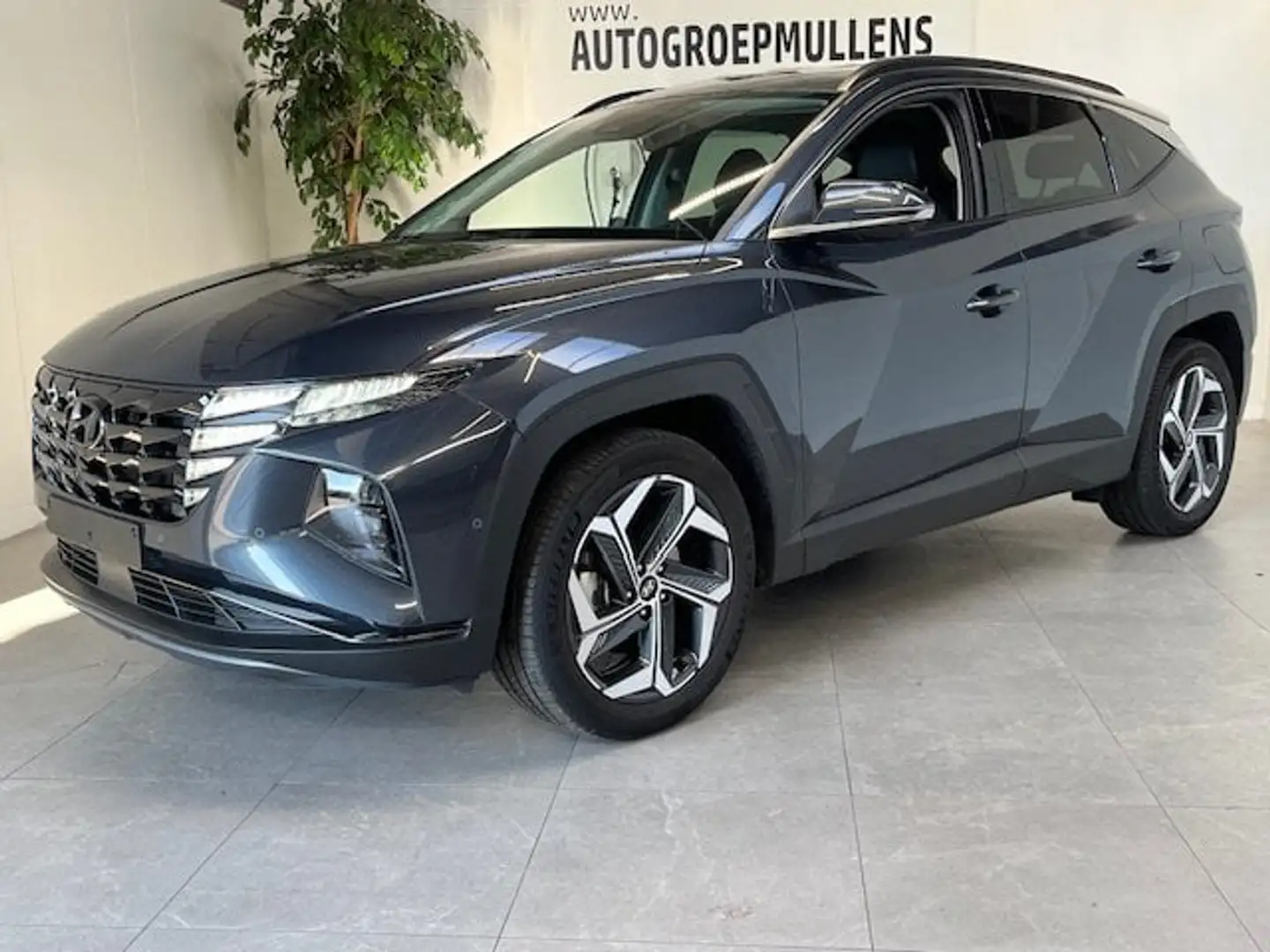 Hyundai TUCSON T-GDi Shine HEV 6AT - 1