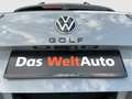 Volkswagen Golf Variant Sport TDI DSG Grau - thumbnail 32