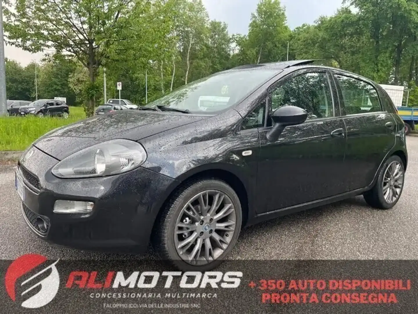 Fiat Punto 1.3 MJT II 75 CV 5 porte*Doppio Tetto*Neopatentati Grigio - 1