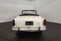 Triumph TR4 TR4 A IRS Blanc - thumbnail 11