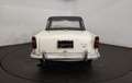 Triumph TR4 TR4 A IRS Blanc - thumbnail 22