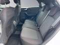 Ford Puma m-hybrid ST-Line Weiß - thumbnail 12