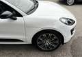 Porsche Macan S 3,0 *21"TurboDesign*AHK*Bose*Pano*RFK* Weiß - thumbnail 15