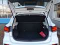 MG ZS EV Luxury FahrAss+ Panorama 360°K Vollleder Blanc - thumbnail 6