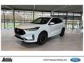 Ford Kuga 2.5 Duratec PHEV ST-LINE X 19Zoll LED NAVI ACC Weiß - thumbnail 13