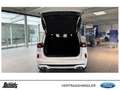 Ford Kuga 2.5 Duratec PHEV ST-LINE X 19Zoll LED NAVI ACC Weiß - thumbnail 18