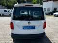Volkswagen Caddy Kasten 2.0 TDI Sortimo Werkstatteinbau EU6 GRA SHZ Weiß - thumbnail 14