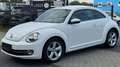 Volkswagen Beetle Design 1.4TSI DSG AUT. NAVI TAGFAHR. ALU Weiß - thumbnail 1