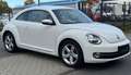 Volkswagen Beetle Design 1.4TSI DSG AUT. NAVI TAGFAHR. ALU Weiß - thumbnail 3