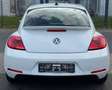 Volkswagen Beetle Design 1.4TSI DSG AUT. NAVI TAGFAHR. ALU Weiß - thumbnail 6