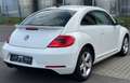 Volkswagen Beetle Design 1.4TSI DSG AUT. NAVI TAGFAHR. ALU Weiß - thumbnail 5