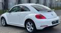 Volkswagen Beetle Design 1.4TSI DSG AUT. NAVI TAGFAHR. ALU Weiß - thumbnail 7