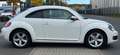 Volkswagen Beetle Design 1.4TSI DSG AUT. NAVI TAGFAHR. ALU Weiß - thumbnail 4