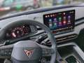 CUPRA Terramar 2.0 TSI 4Drive VZ AKEBONO+DSG+ACC+Navi Grau - thumbnail 17
