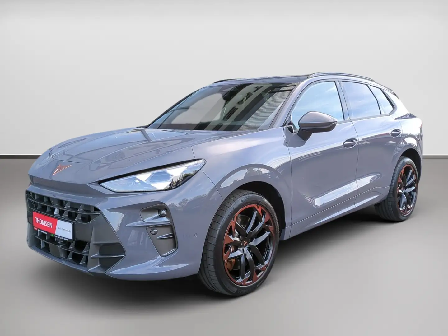 CUPRA Terramar 2.0 TSI 4Drive VZ DSG+ACC+AUT+LED+Navi Gris - 2