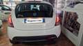 Lancia Ypsilon 1.2 69 CV 5 porte Gold Blanc - thumbnail 11