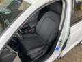 Audi Q3 35 TFSI intense S-tronic Weiß - thumbnail 7