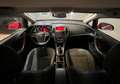 Opel Astra 1.7CDTi Cosmo 110 Rood - thumbnail 13