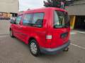 Volkswagen Caddy Life Gewinner Caddy TÜV bis 09.2026 Rot - thumbnail 6