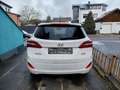 Hyundai i30 i30 blue Kombi 1.6 CRDi Style Weiß - thumbnail 4