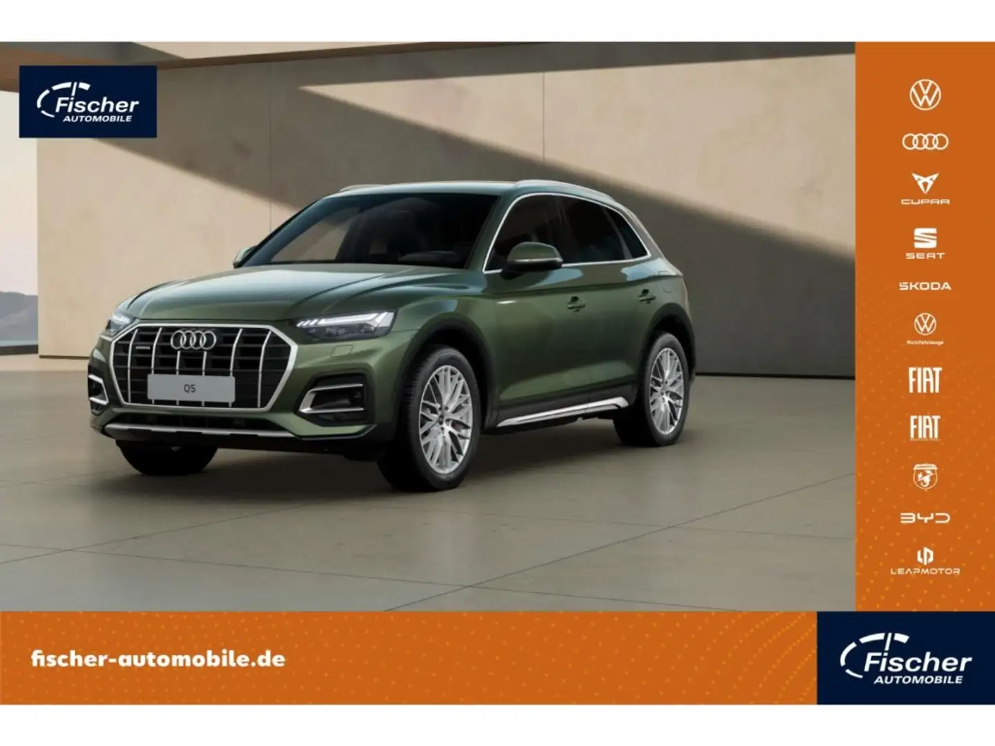 Audi Q5 50 TFSI e quattro Advanced S-Line Grün - 1