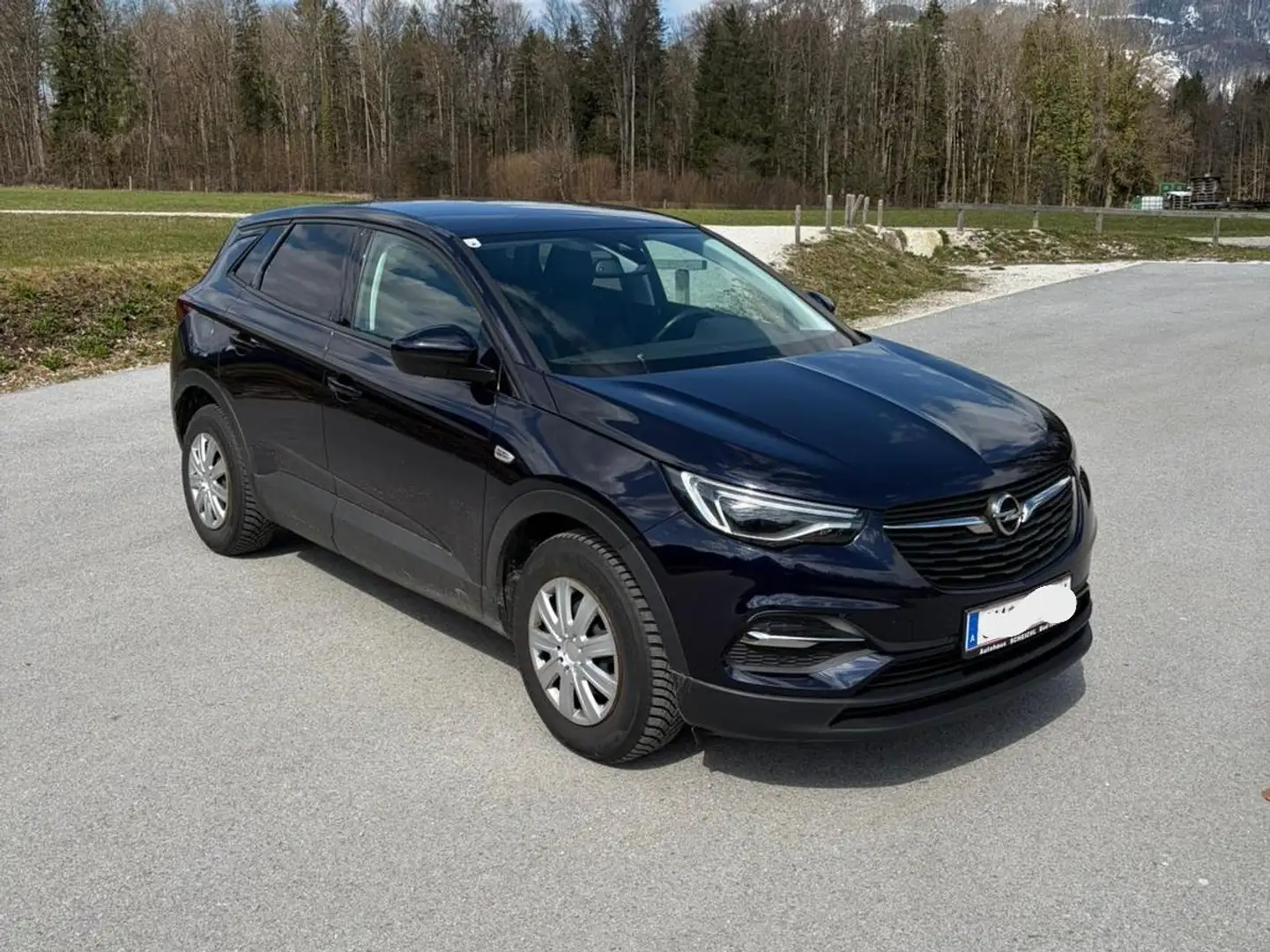Opel Grandland X Grandland X 1,2 Turbo Direct Inj. 120 Edition Start/Stop 120 Edition Blau - 1