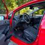 Ford Fiesta Fiesta VI 2013 5p 1.5 tdci Titanium 75cv E6 Rosso - thumbnail 6