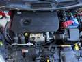 Ford Fiesta Fiesta VI 2013 5p 1.5 tdci Titanium 75cv E6 Rouge - thumbnail 16