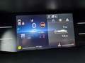 Renault Trafic Kombi 9-Sitze L2 Grand Equilibre KLIMA TEMPOMAT Silber - thumbnail 10