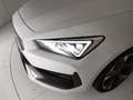 CUPRA Leon Sportstourer 1.5 hybrid 150cv dsg Bianco - thumbnail 6