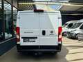 Fiat Ducato 2.3 D L1H1 AUTOMATIK KLIMA AHK CAM TEMPOM Weiß - thumbnail 8