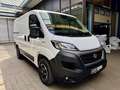 Fiat Ducato 2.3 D L1H1 AUTOMATIK KLIMA AHK CAM TEMPOM Weiß - thumbnail 5