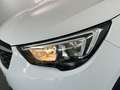 Opel Crossland X 1.6T Selective 99 Weiß - thumbnail 16