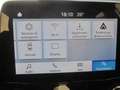 Ford Fiesta 1.1 75 CV GPL 5 porte Business (ok anche neopat.) Bleu - thumbnail 15